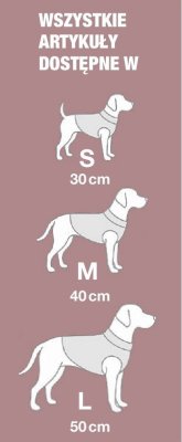 Gazetka, strona 15 promocja w Woolworth