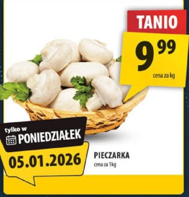 Pieczarka promocja w Arhelan