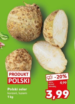 Seler korzeń, luzem promocja w Kaufland