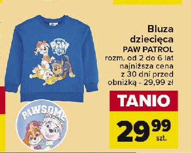 Bluza dziecięca psi patrol promocja