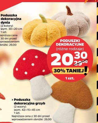Poduszka dekoracyjna różne rodzaje promocja w Netto