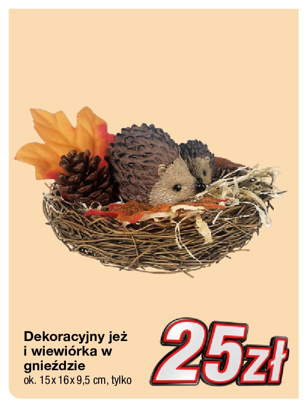 Jeż i wiewiórka w gnieździe promocja