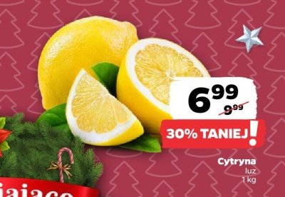 Cytryna promocja w Netto