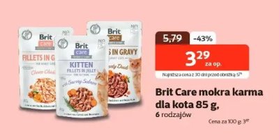 Karma mokra dla kota 85 g promocja w KAKADU