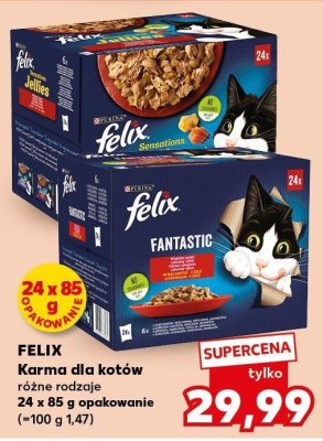 Karma dla kotów Fantastic Felix promocja w Kaufland