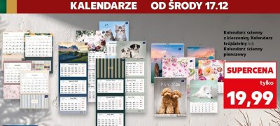 Kalendarz ścienny z kleszami, Kalendarz trójdzielny lub Kalendarz ścienny planszowy promocja w Kaufland