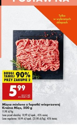 Mi臋so mielone z 艂opatki wieprzowej Kraina mi臋s promocja