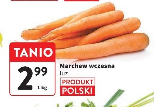 Marchew wczesna promocja