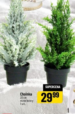 Choinka 30 cm różne kolory promocja w POLOmarket