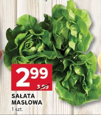 Sałata masłowa promocja w Stokrotka