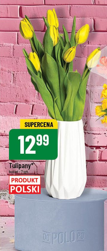 Tulipany polskie promocja