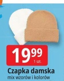 Czapka damska TERBUT promocja w Leclerc