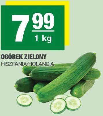 Ogórek zielony Hiszpania/Holandia promocja w SPAR