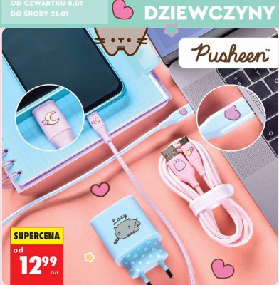 Ładowarka USB Pusheen promocja w Biedronka