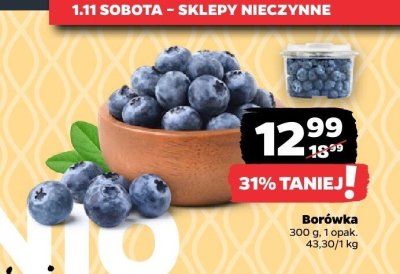 Bor贸wka promocja w Netto
