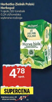 Herbatka Zielnik Polski Herbapol Morwa biała promocja w Delikatesy Centrum