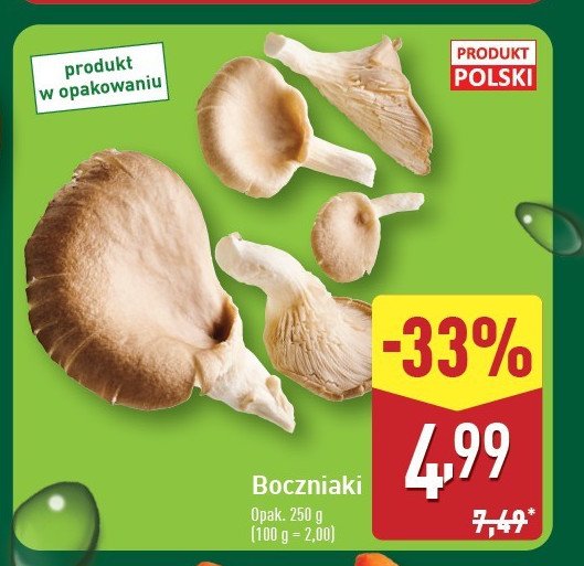 Boczniaki promocja