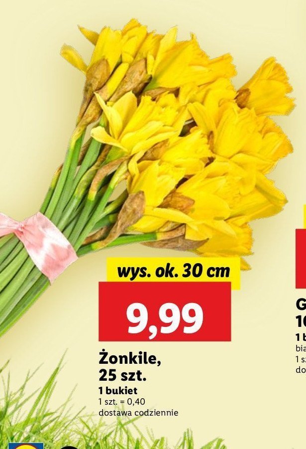 呕onkile promocja