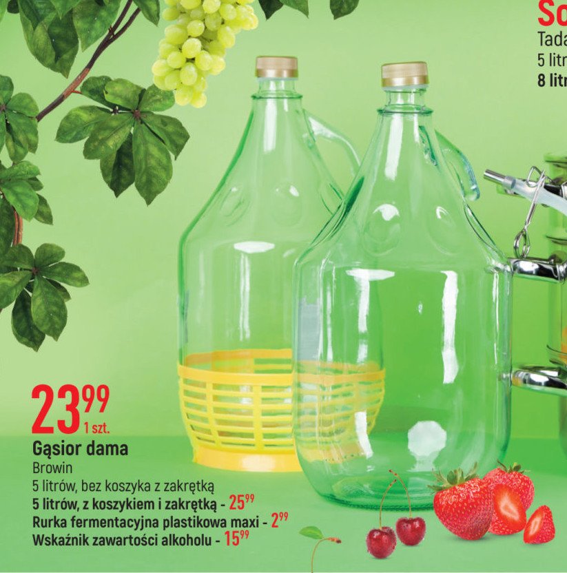 Wska藕nik zawarto艣ci alkoholu z termometrem Browin promocja