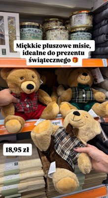 Pluszowy miś promocja w Action