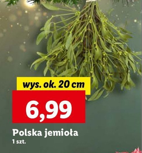 Jemioła 20 cm promocja w Lidl