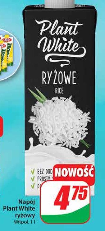 Nap贸j ry偶owy Plant white promocja