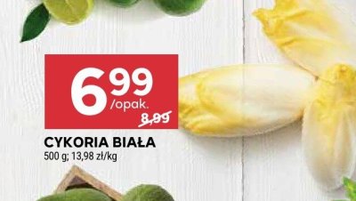 Cykoria biała promocja w Stokrotka