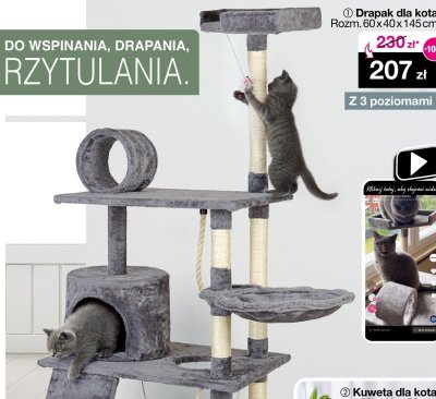 Drapak dla kota promocja w Woolworth