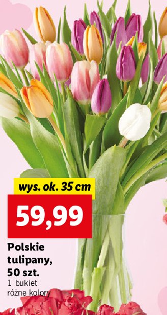 Tulipany 35 cm promocje