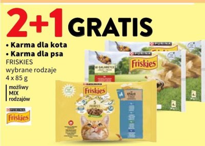 Karma dla kota Friskies promocja w Intermarche