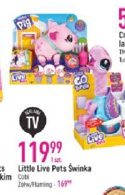 Flaming Little live pets promocja
