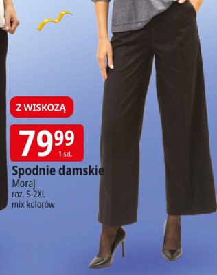 Spodnie damskie Moraj promocja w Leclerc