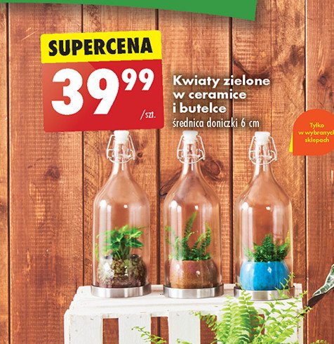 Kwiaty w butelkach promocja