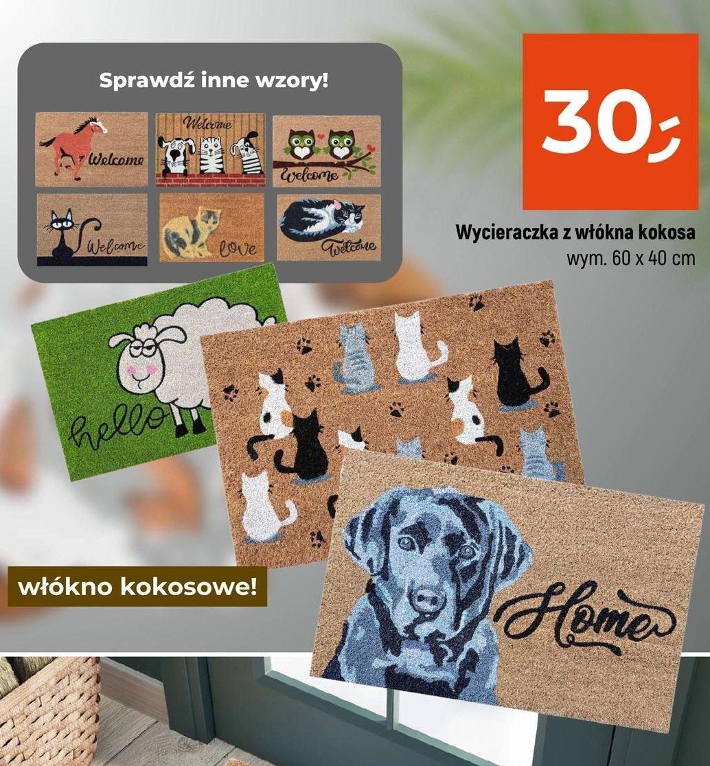 Wycieraczka kokos 60 x 40 cm promocja w Dealz