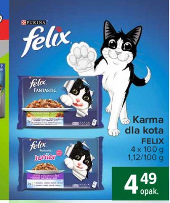Karma dla kota wybór mięs z warzywami Purina felix fantastic promocja
