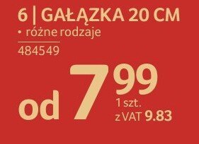 Gałązka 20 cm różne rodzaje promocja w Selgros