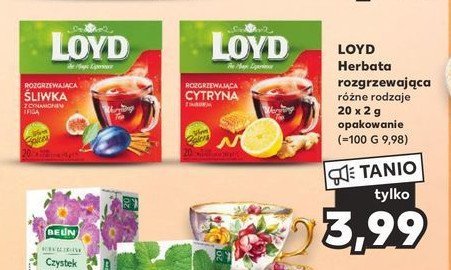 Herbata cytryna z imbirem i miodem Loyd tea the magic experience promocja