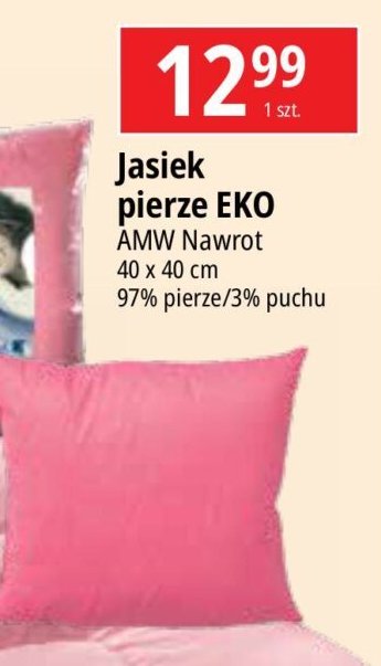 Jasiek pierze eko 40 x 40 cm Amw promocja