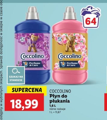 Płyn do płukania purple orchid & blueberries Coccolino perfume & care promocja