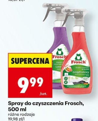 Spray do czyszczenia Frosch, 500 ml różne rodzaje promocja w Biedronka