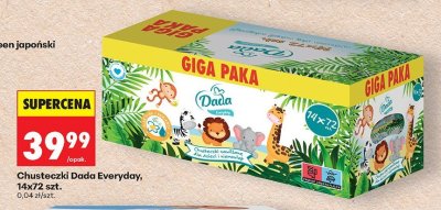 Chusteczki Dada Everyday promocja w Biedronka