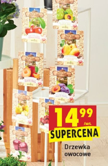 Drzewka owocowe promocja