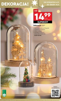 Dekoracja LED różne rodzaje promocja w Biedronka