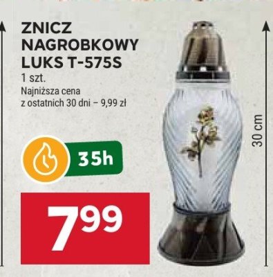 Znicz promocja w Stokrotka
