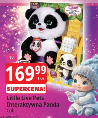 Little Live Pets Interaktywna Panda Cobi promocja w Leclerc