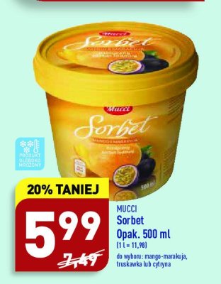 Sorbet cytrynowy Mucci promocja
