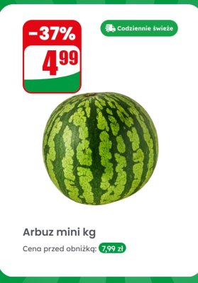 Arbuz mini kg promocja w Dino