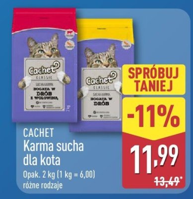 CACHET Karma sucha dla kota, różne rodzaje promocja w Aldi