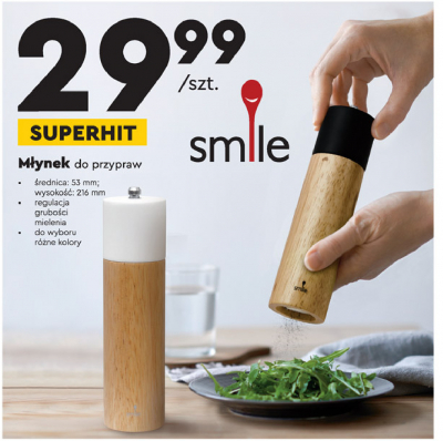M艂ynek elektryczny smp-2/2 czarny Smile mpm promocja