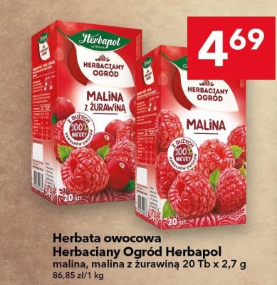 Herbata owocowa Herbaciany Ogród Herbapol malina z żurawiną 20 Tb x 2,7 g promocja w LEWIATAN